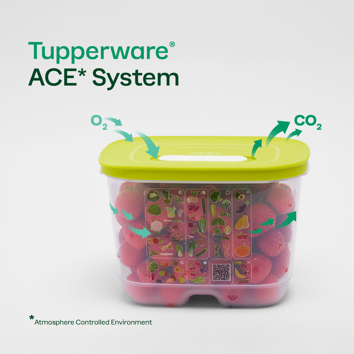 FridgeSmart? Containers - Image 7