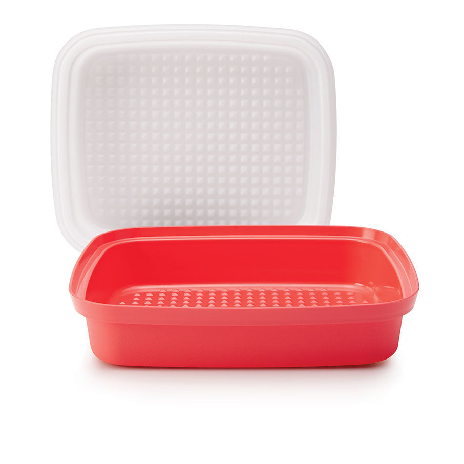Season-Serve? Container - Image 6